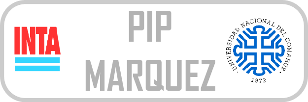 Logo PIP